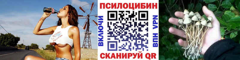 Галлюциногенные грибы MAGIC MUSHROOMS  ОМГ ОМГ ссылка  Олёкминск 